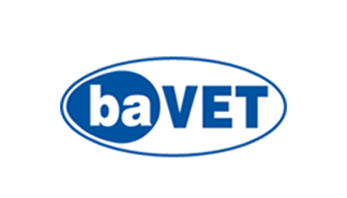 Bavet